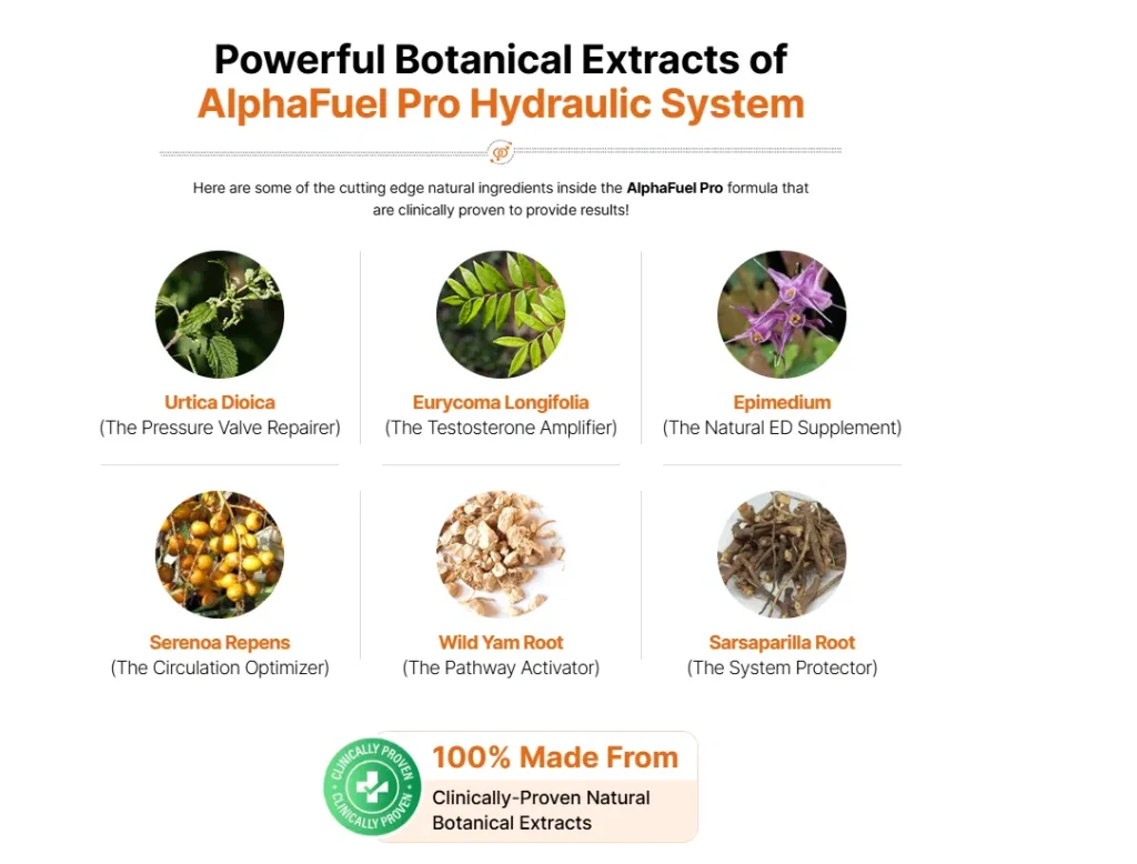 AlphaFuel Pro ingredients and benefits analysis for male vitality support